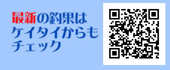 最新釣果はケイタイで