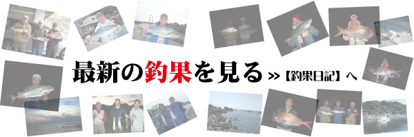 最新釣果を見る　釣果日記